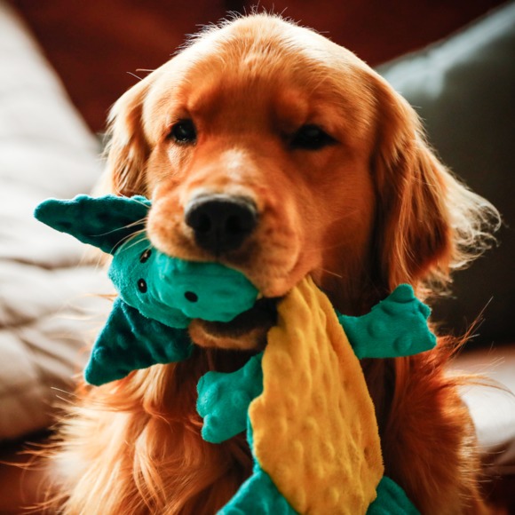 Meet your Posher, Heither - Picture 1 of 1